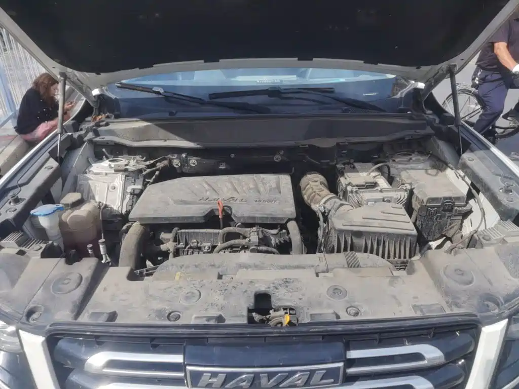 Haval Dargo 2021 2021 1.5T DCT 2WD Labrador Edition
