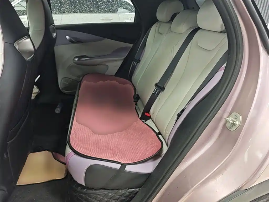 BYD Dolphin 2021 Model 405km Fashion Edition фото 17