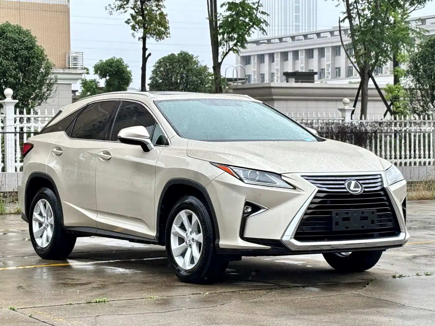 LEXUS RX