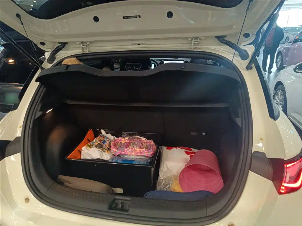 BYD Dolphin 2023 420km Fashion Edition фото 15