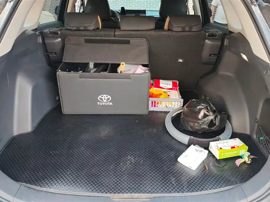 Toyota RAV4 Rongfang 2024 2.0L CVT FWD Urban Edition фото 4