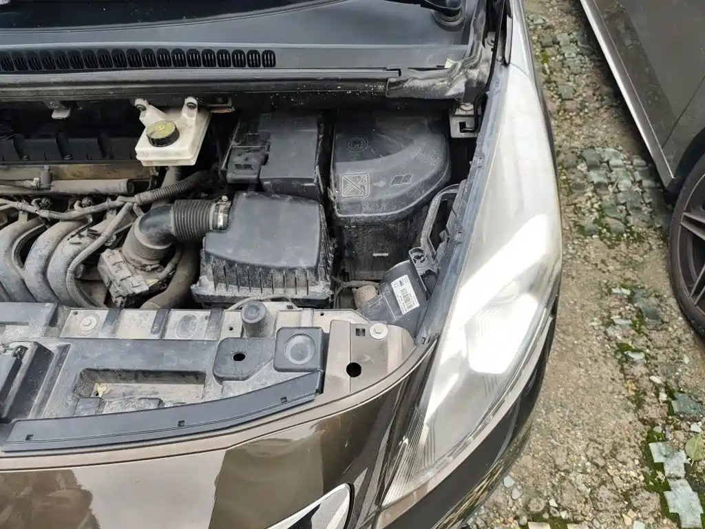 Peugeot 3008 2017 2016 2.0L Automatic Trend Edition