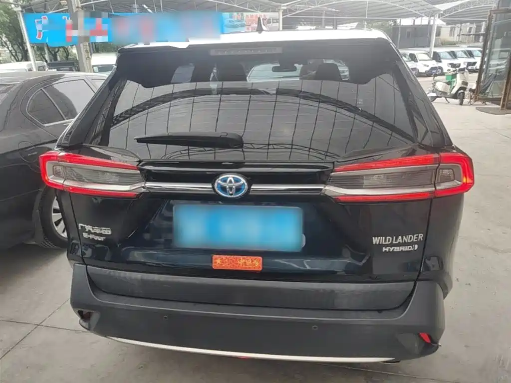 Toyota Wildlander 2020 Hybrid 2.5L E-CVT AWD Luxury Edition фото 6