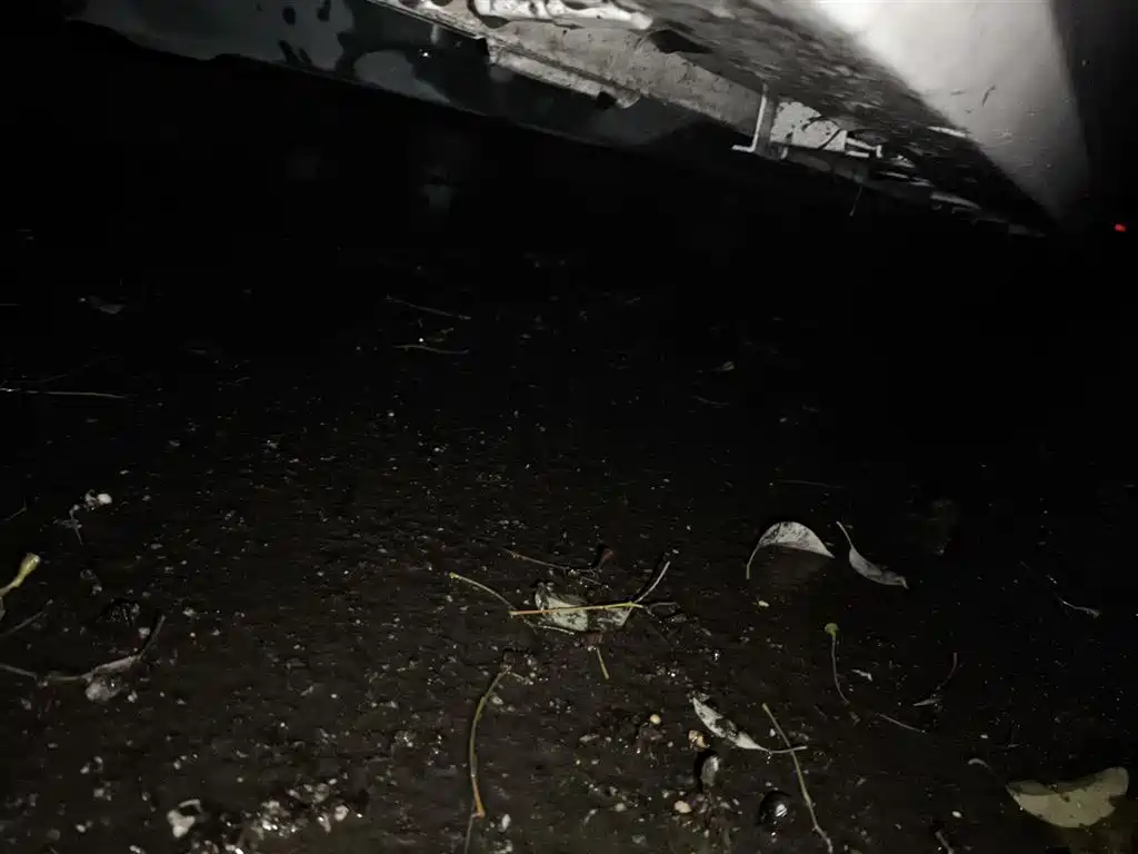Toyota Corolla 2021 1.2T S-CVT Pioneer PLUS Edition фото 18