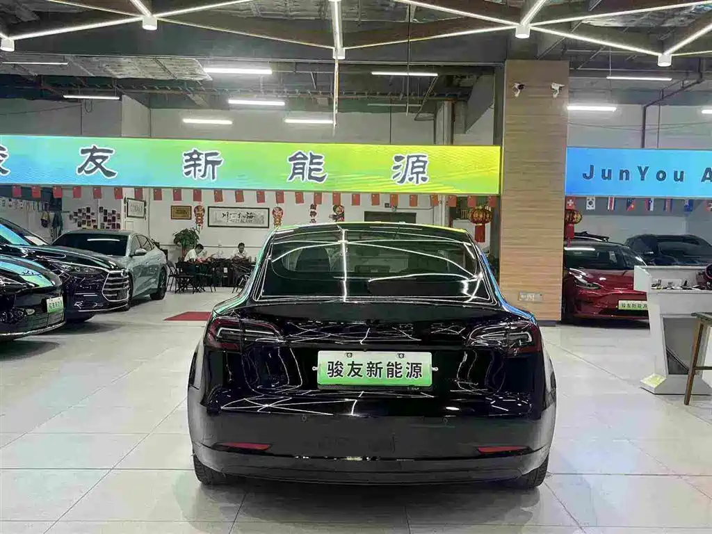 Tesla Model 3 (Import) 2019 2019 Long Range RWD Version