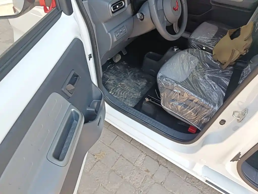 Wuling Motors Wuling Zhiguang NEV 2026 2025 Model 305km Base Version
