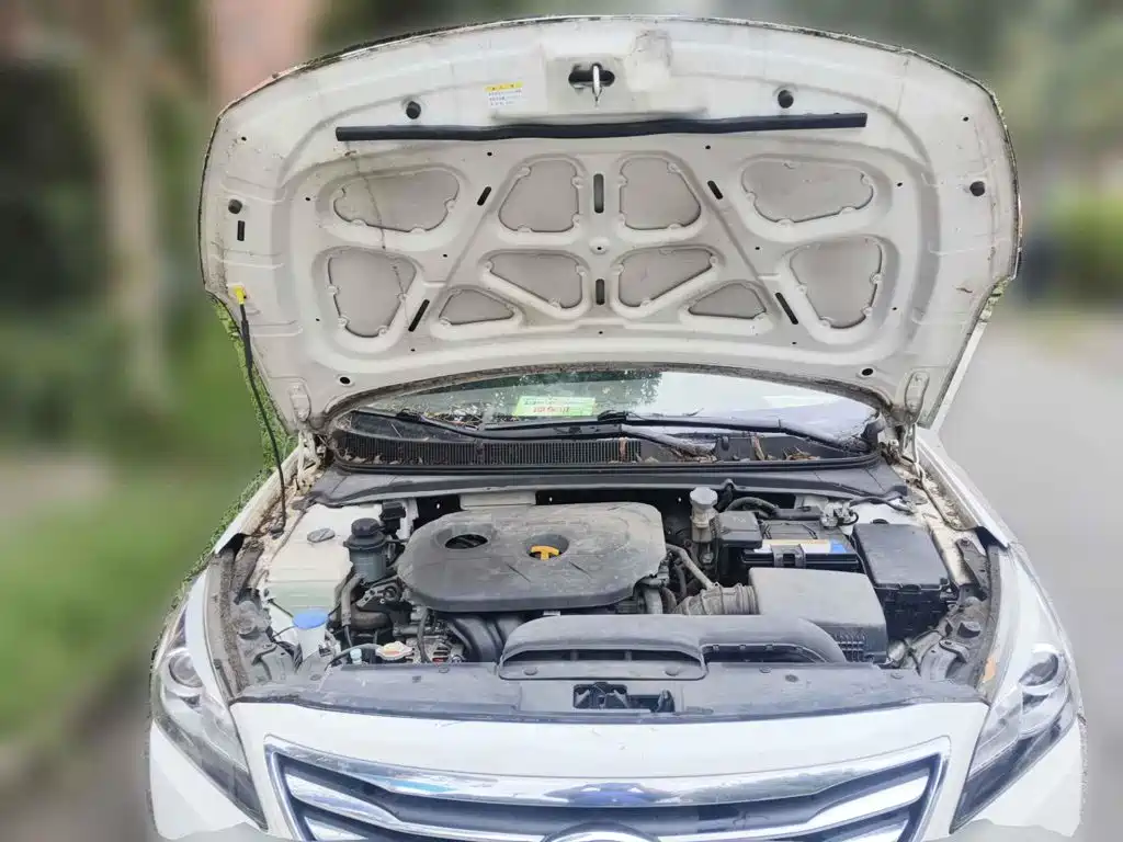 Фото 3 - Hyundai Mistra