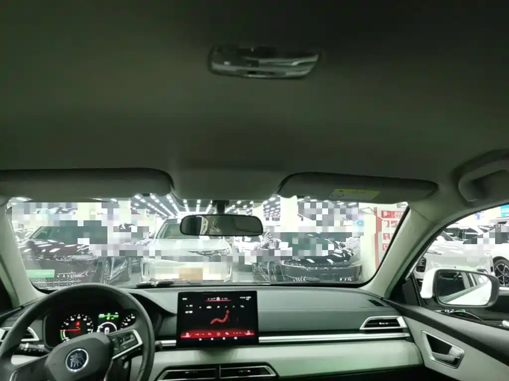 BYD Qin New Energy 2019 Travel Standard Edition фото 18