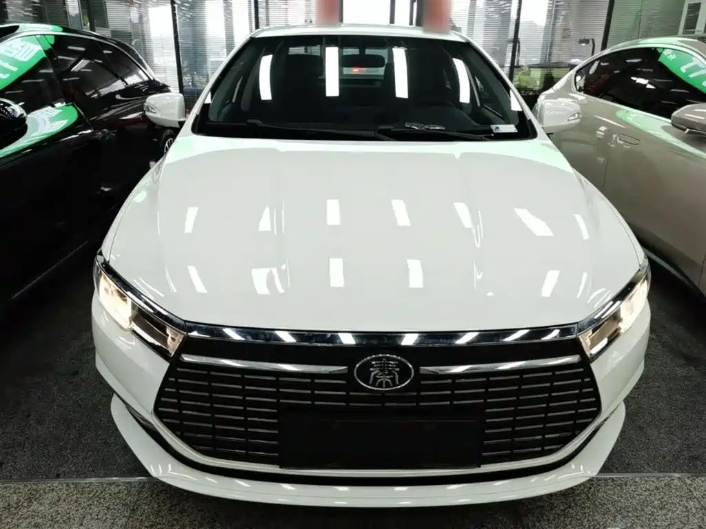BYD Qin New Energy 2019 Travel Standard Edition фото 3