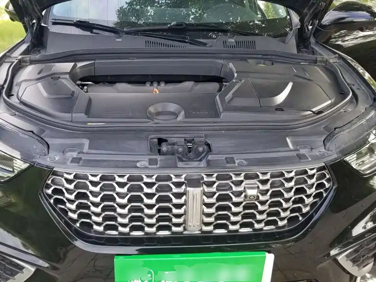 WEY VV5 2021 2021 1.5T 2WD Style Pioneer