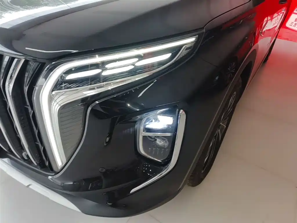 Hongqi HS7 PHEV 2024 2.0T PHEV 4WD Flagship Edition 6-seater фото 24
