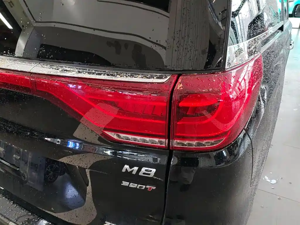 GAC Trumpchi Trumpchi M8 2021 Master Series 390T Ultimate Edition фото 8