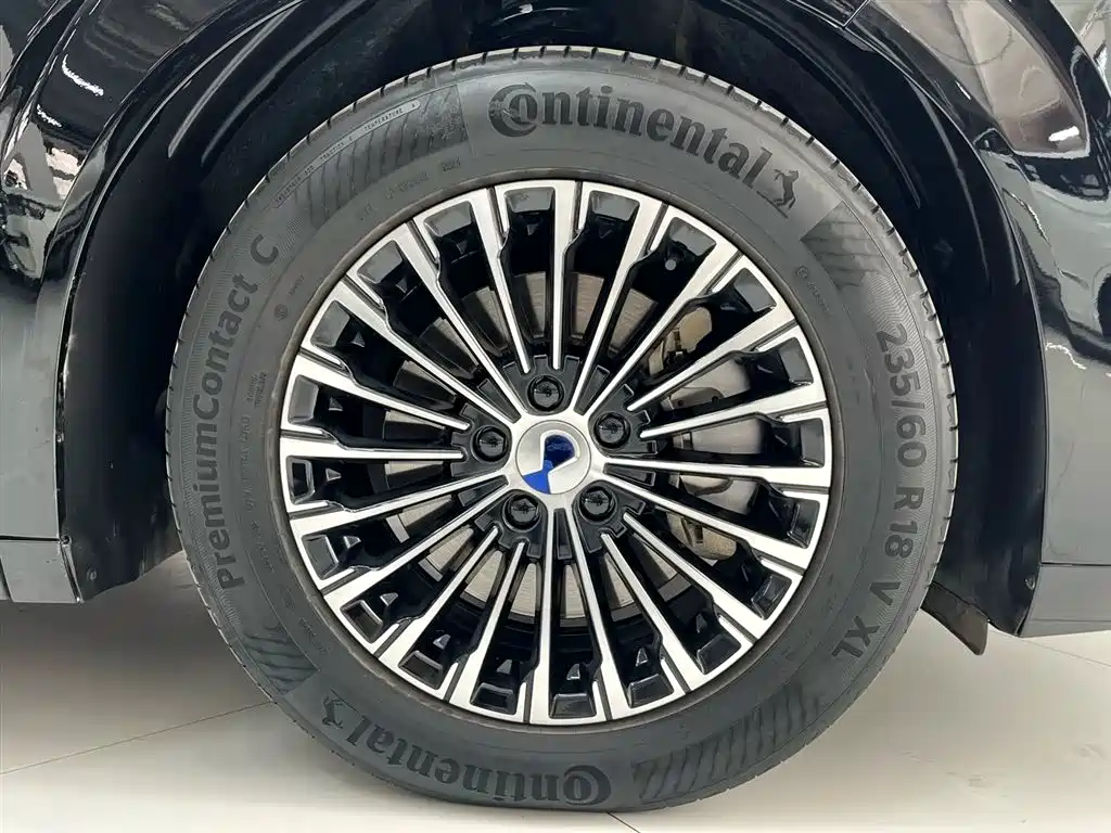 Denza D9 2024 DM-i 980 AWD Prestige фото 14