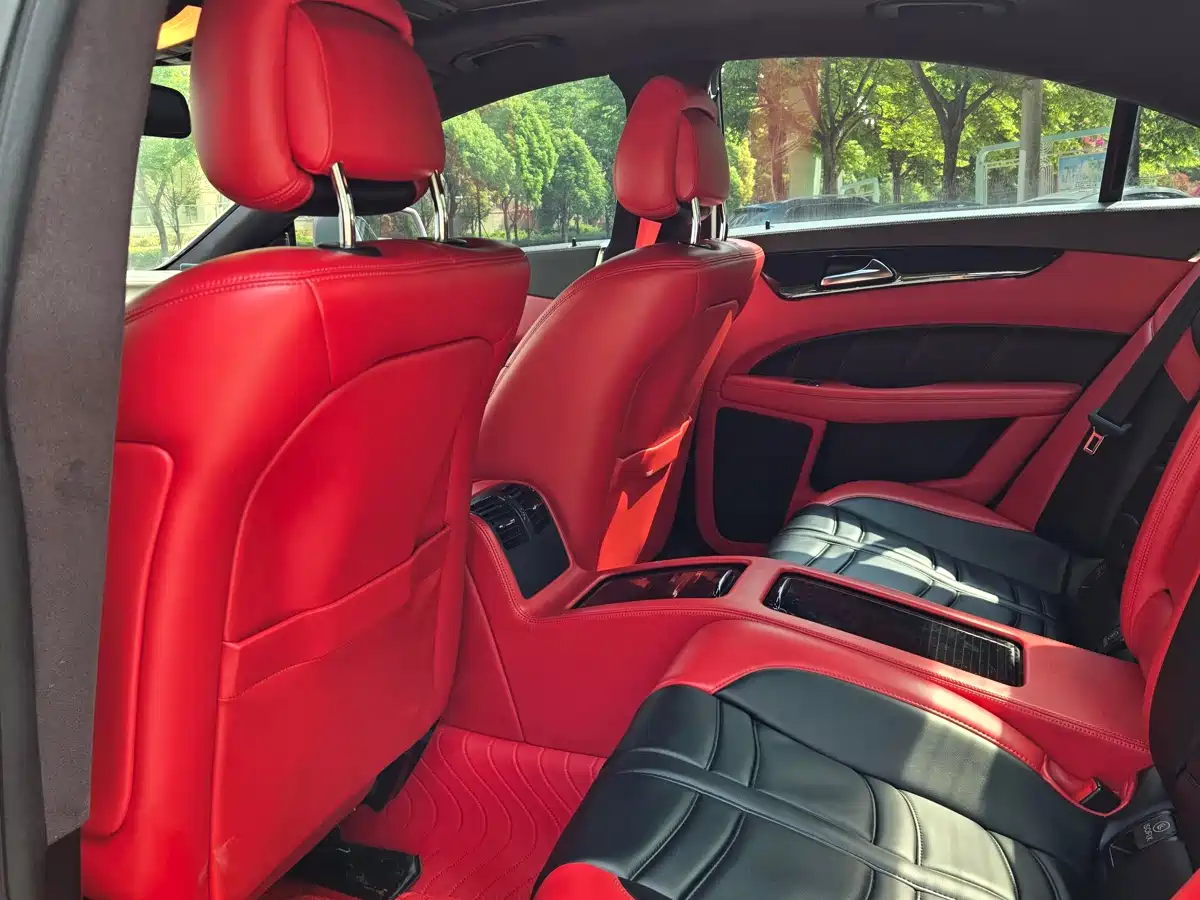 Mercedes-Benz CLS 2012 CLS 300 CGI фото 12
