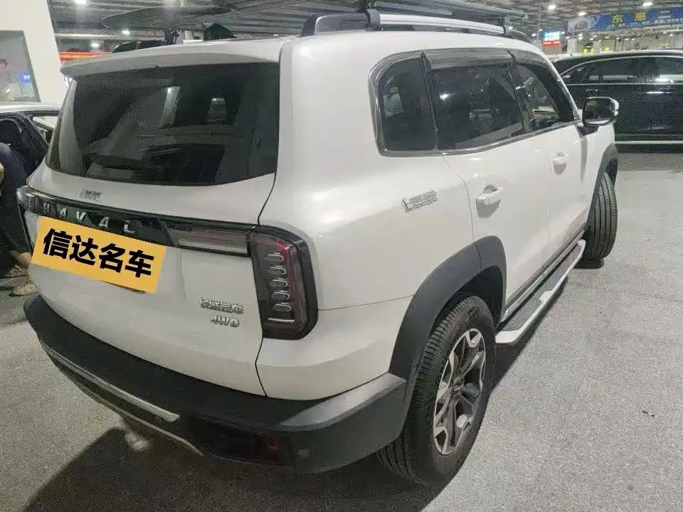 Фото 3 - Haval Dargo