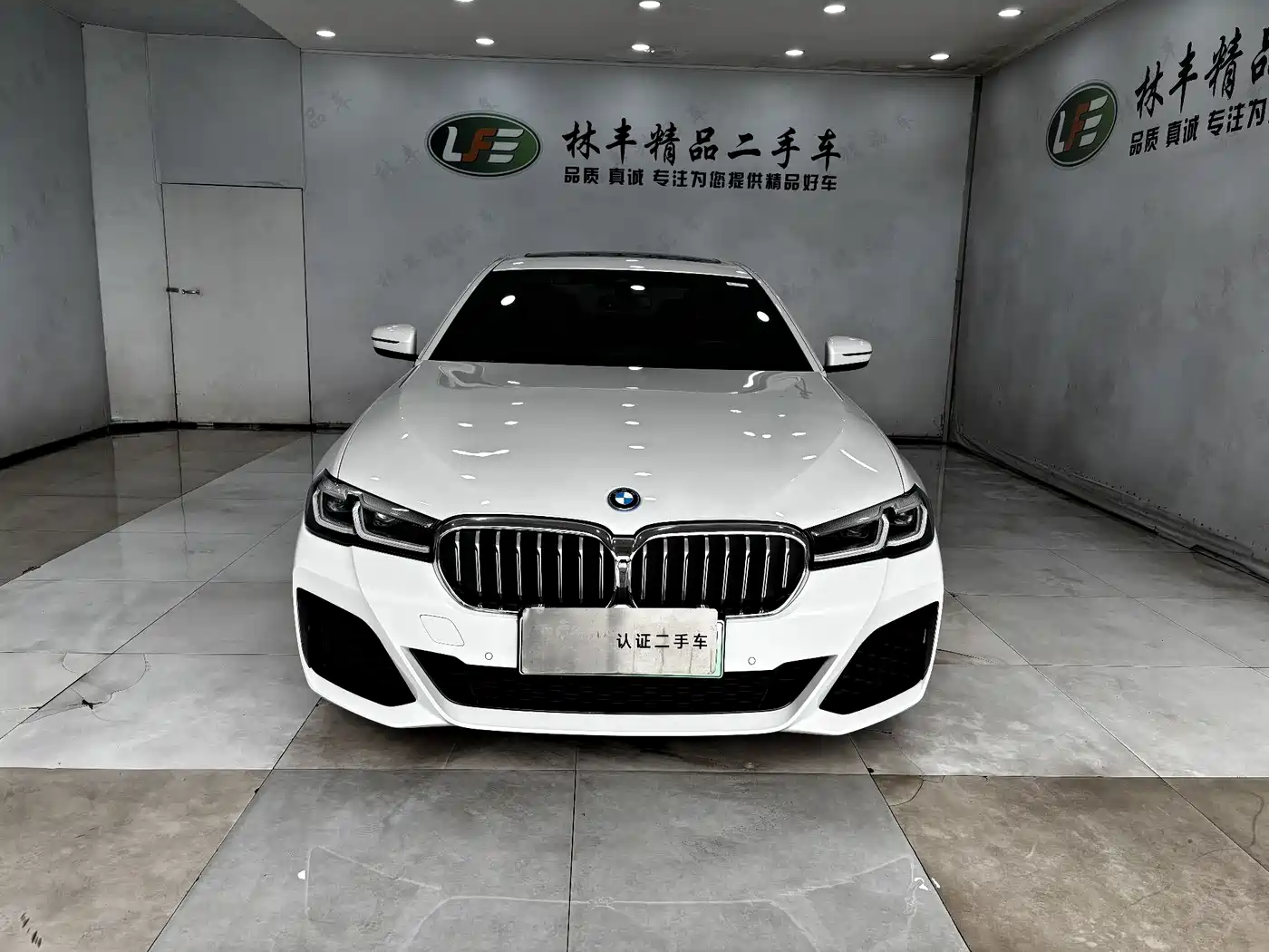 BMW 5 SERIES NEW ENERGY