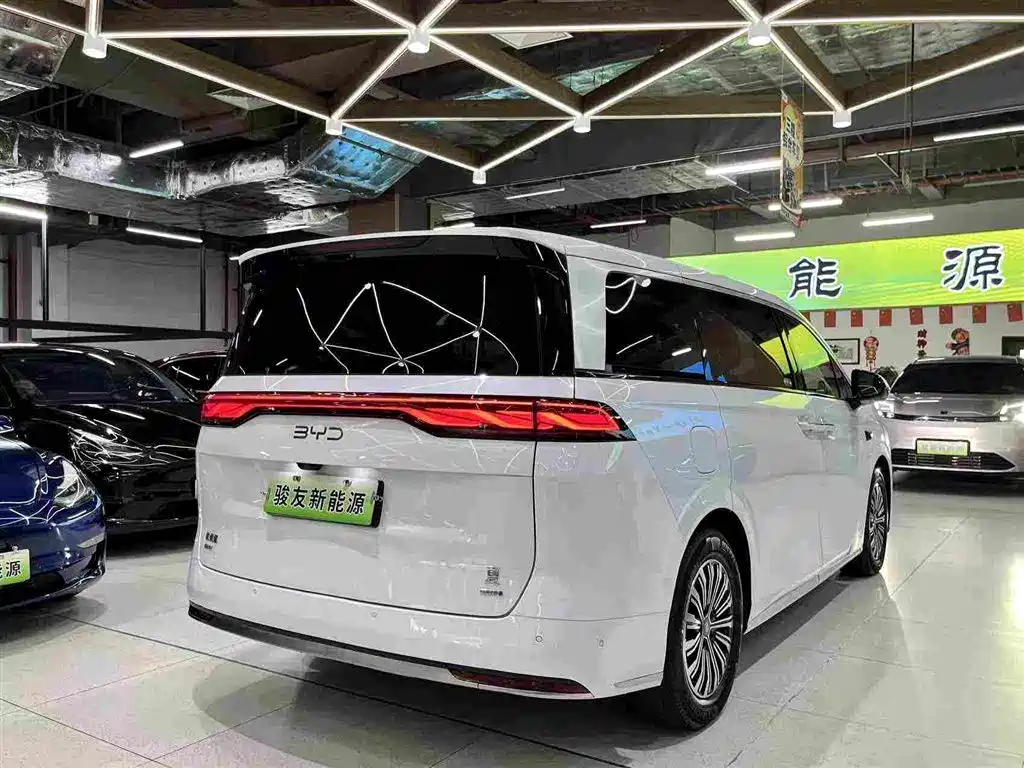 Фото 2 - BYD Xia