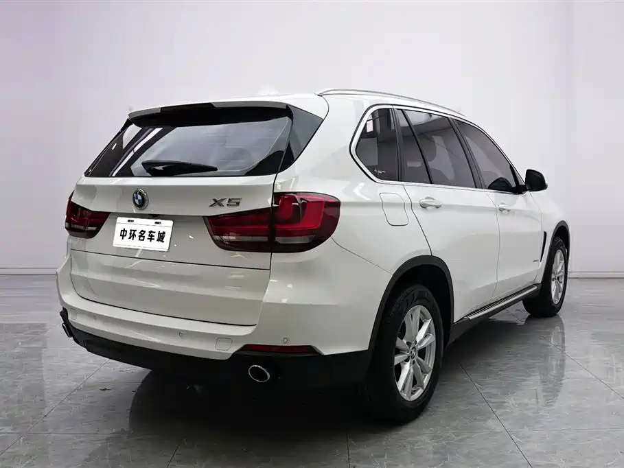 BMW X5 (Import) 2017 xDrive35i Luxury Edition фото 17