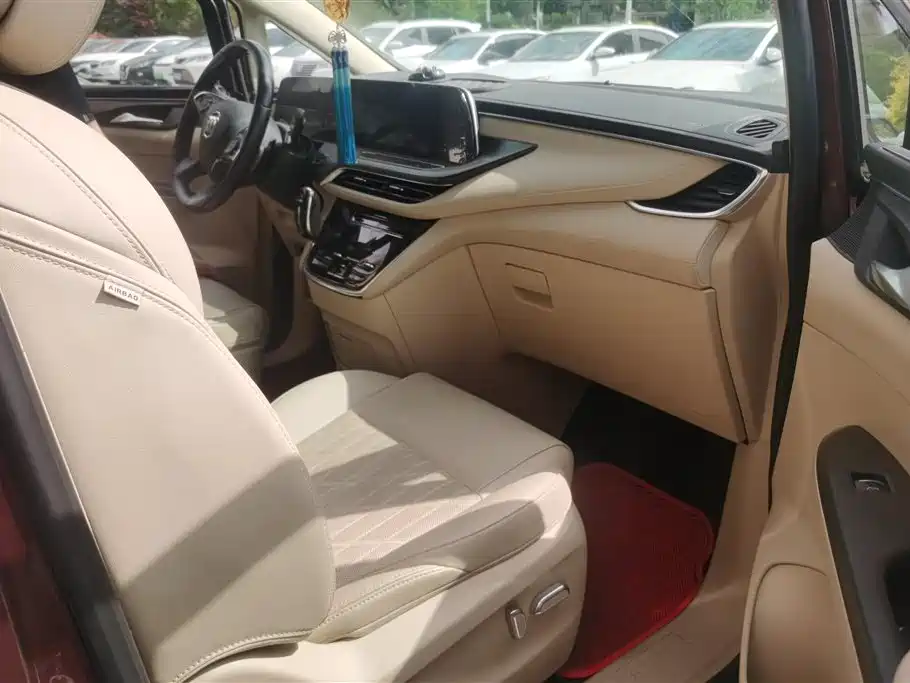 Buick GL8 2022 ES Landmark 653T Luxury фото 8