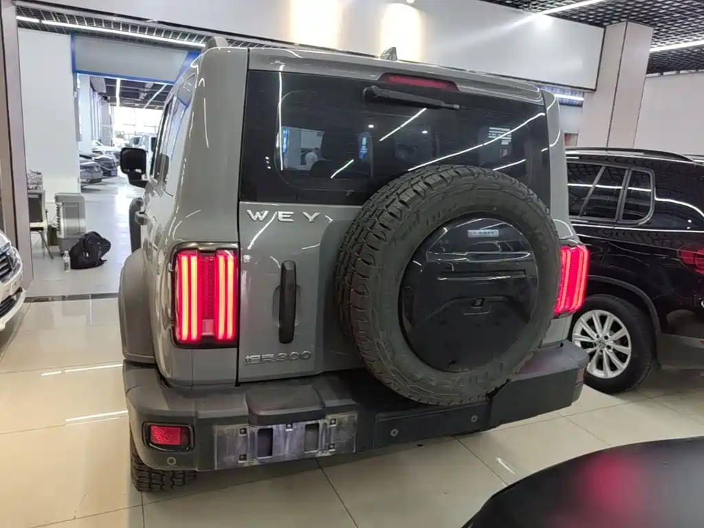 Tank 300 2021 2021 Off-road Version 2.0T Conqueror