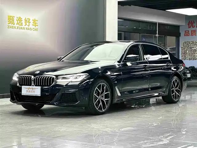 BMW 5 SERIES