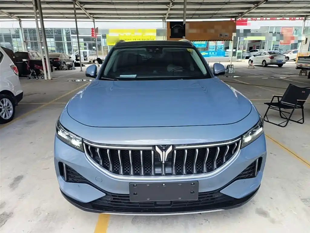 Voyah Auto VOYAH FREE 2021 AWD Standard Range Extender Exclusive Luxury Package фото 3