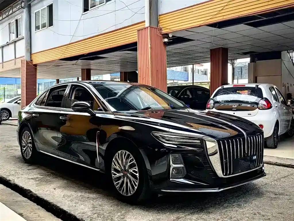 Hongqi H5 2023 2.0T Auto Smart Connect Flag Comfort фото 3