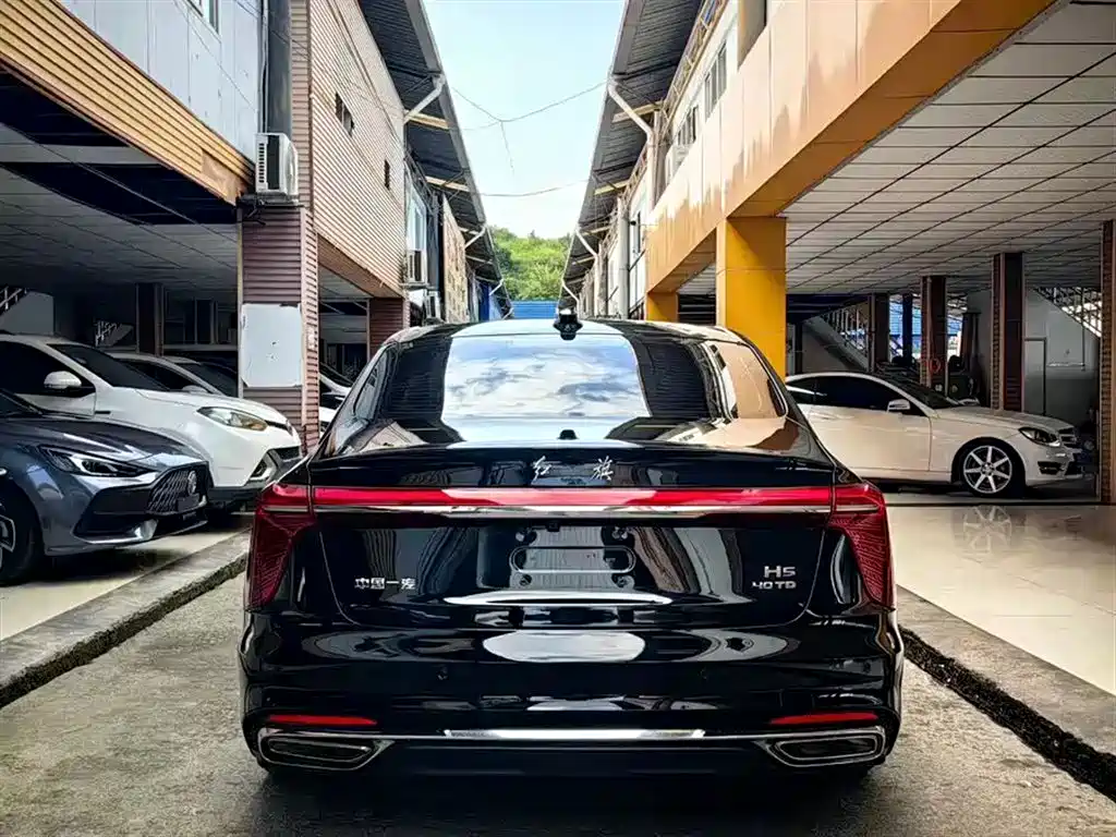 Hongqi H5 2023 2.0T Auto Smart Connect Flag Comfort фото 8