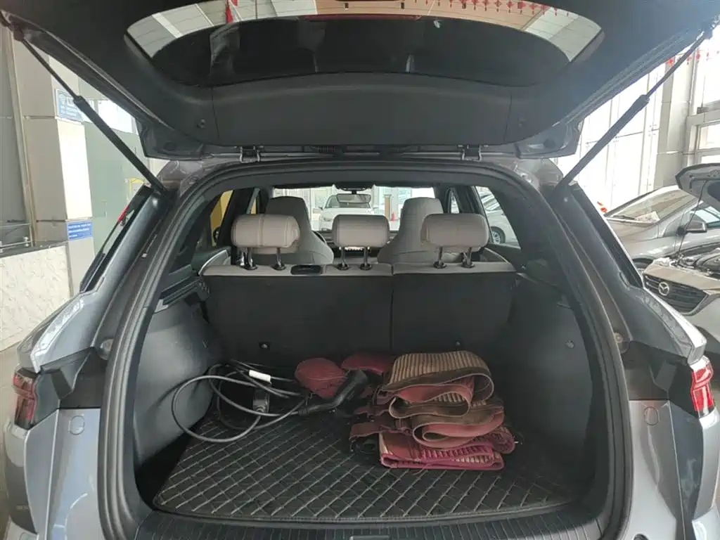 BYD Song Pro New Energy 2024 Glory Edition DM-i 71KM Leading фото 19