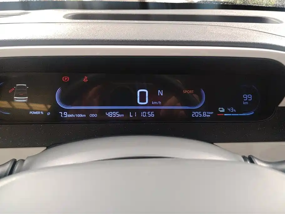 Geely Galaxy Panda 2025 Panda mini 210km Vitality Bear фото 14