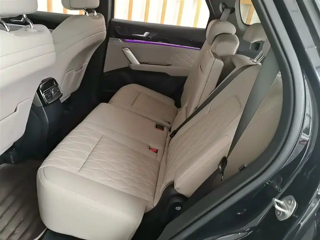 BYD Tang New Energy 2024 Model DM-i Glory Edition 112KM Flagship Type фото 17