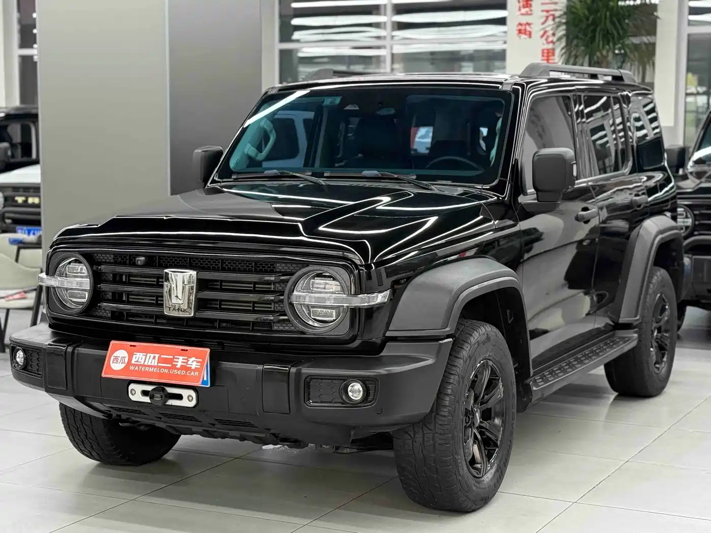 Tank 300 2021 Off-road Version 2.0T Conqueror