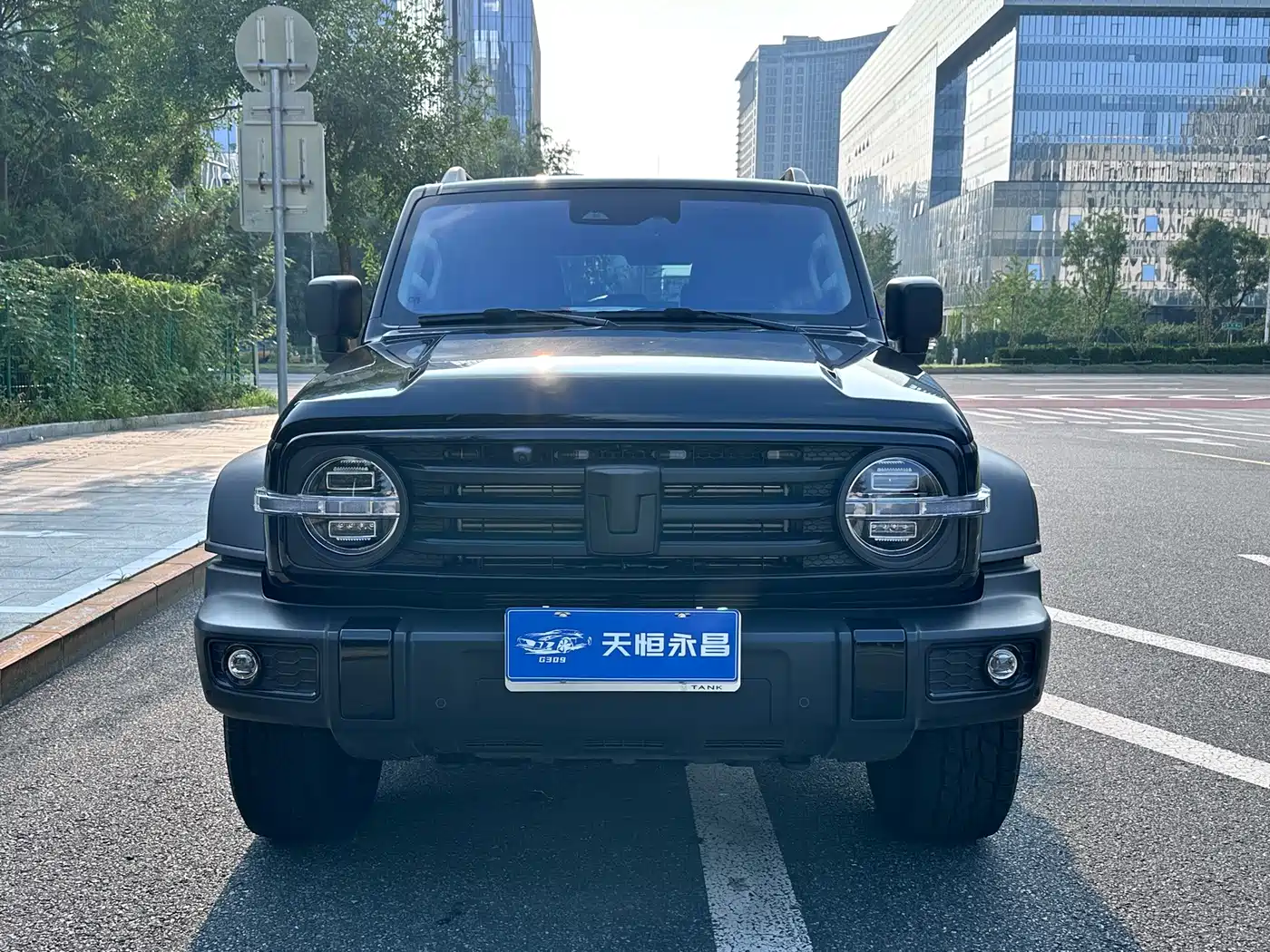 Tank 300 2026 2025 2.0T Conqueror
