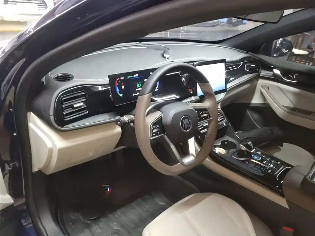 BYD Qin PLUS 2024 Glory Edition DM-i 55KM Leading фото 10