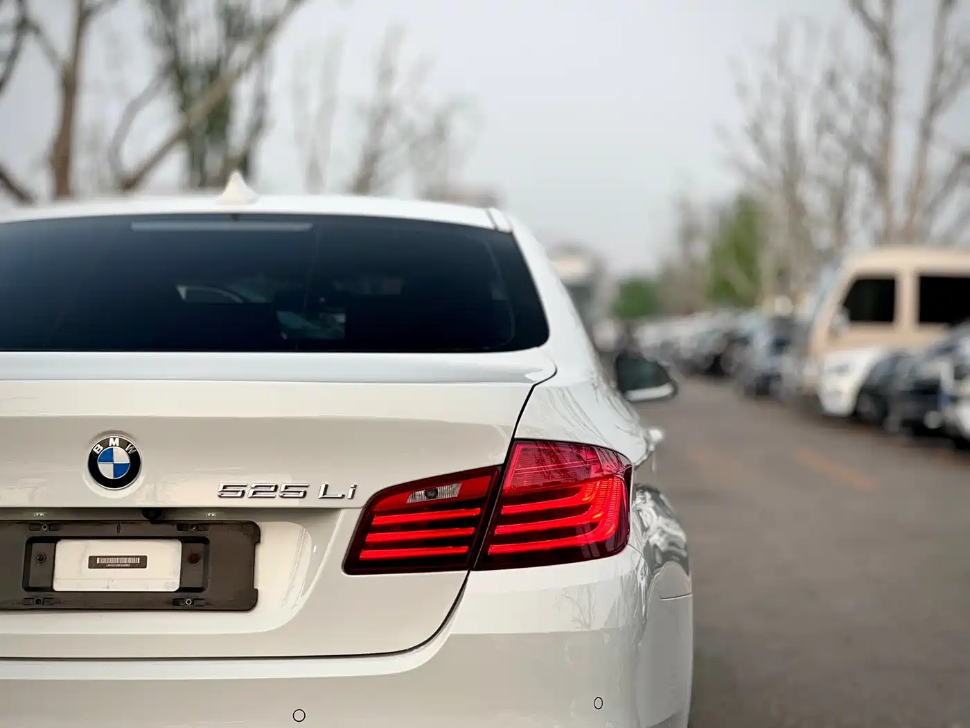 BMW 5 Series 2014 525Li Leading фото 34