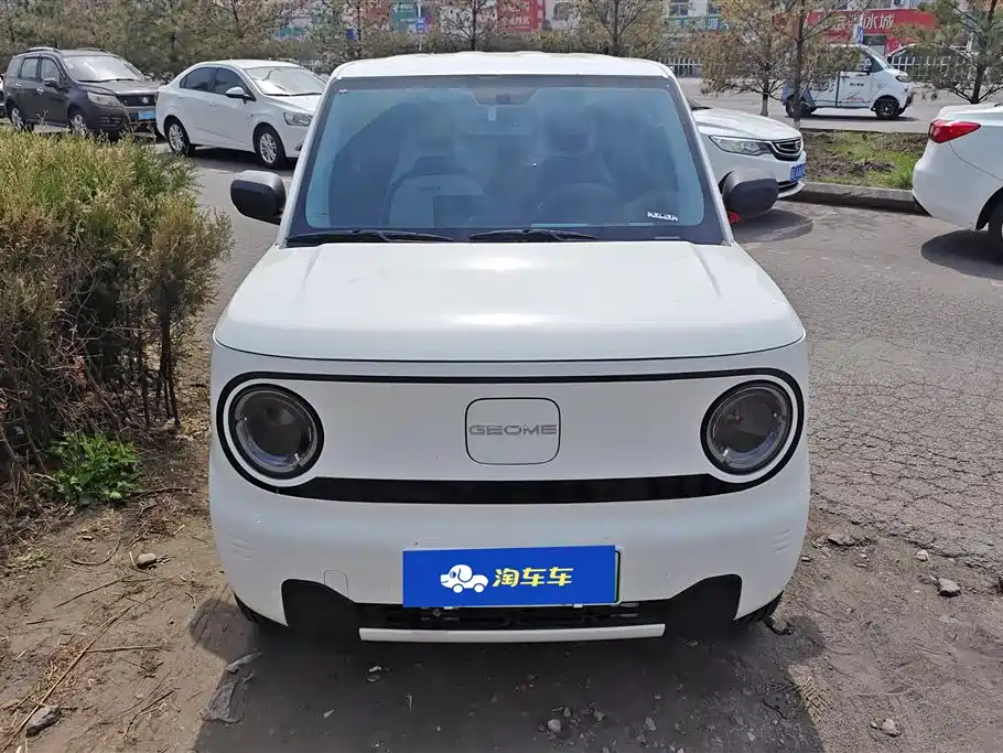 GEELY GALAXY PANDA