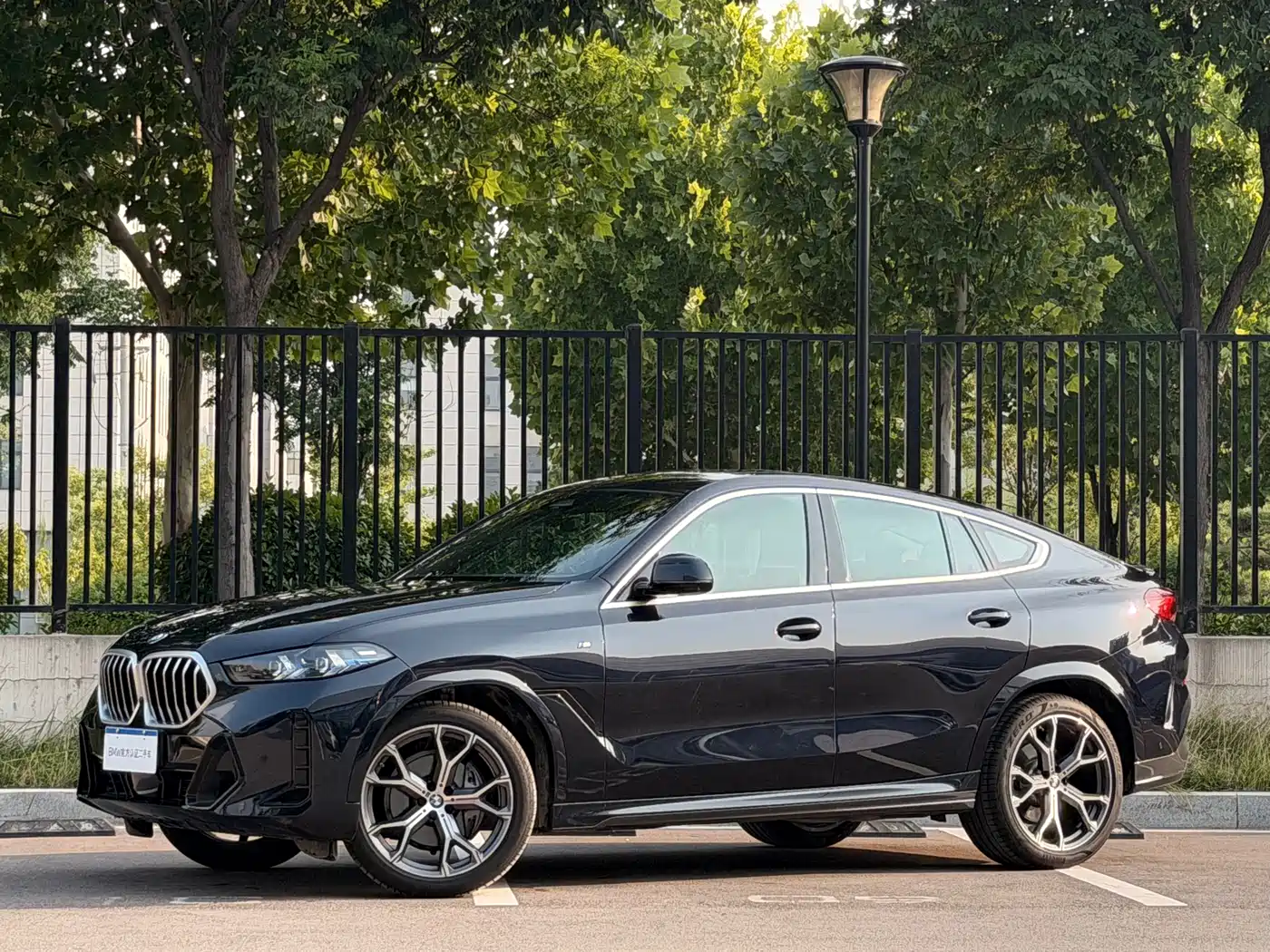2025 BMW X6