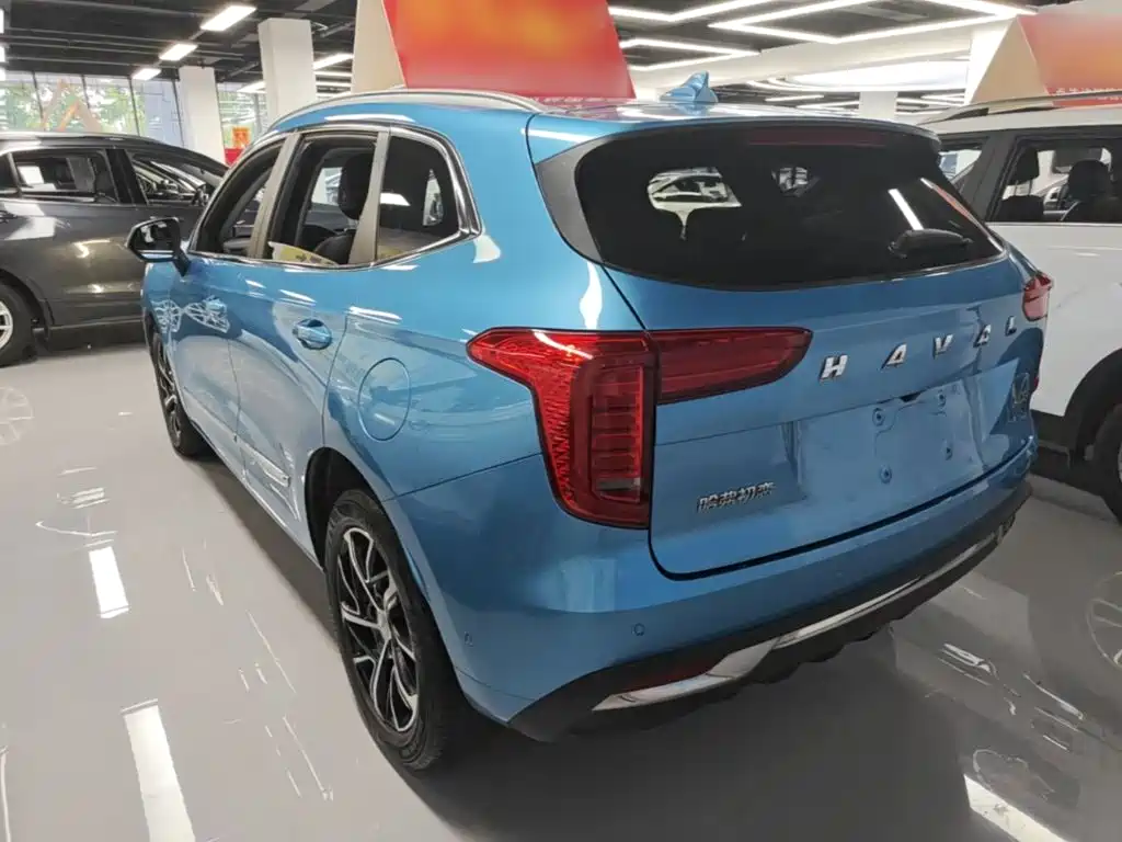 Haval First Love 2021 2021 1.5T Automatic Premium Edition