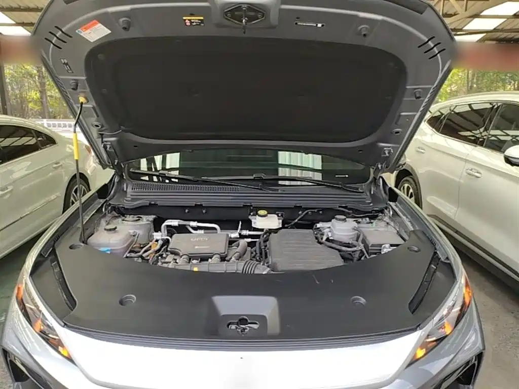BYD SONGJIANG NEW ENERGY