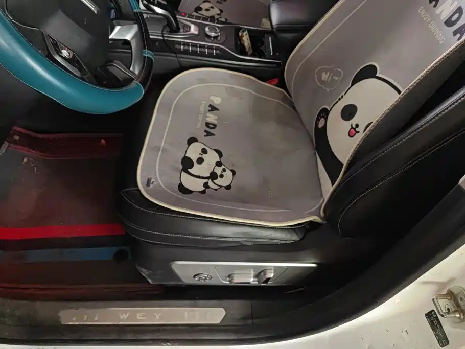 WEY VV6 2019 2020 2.0T 2WD Smart Protection+