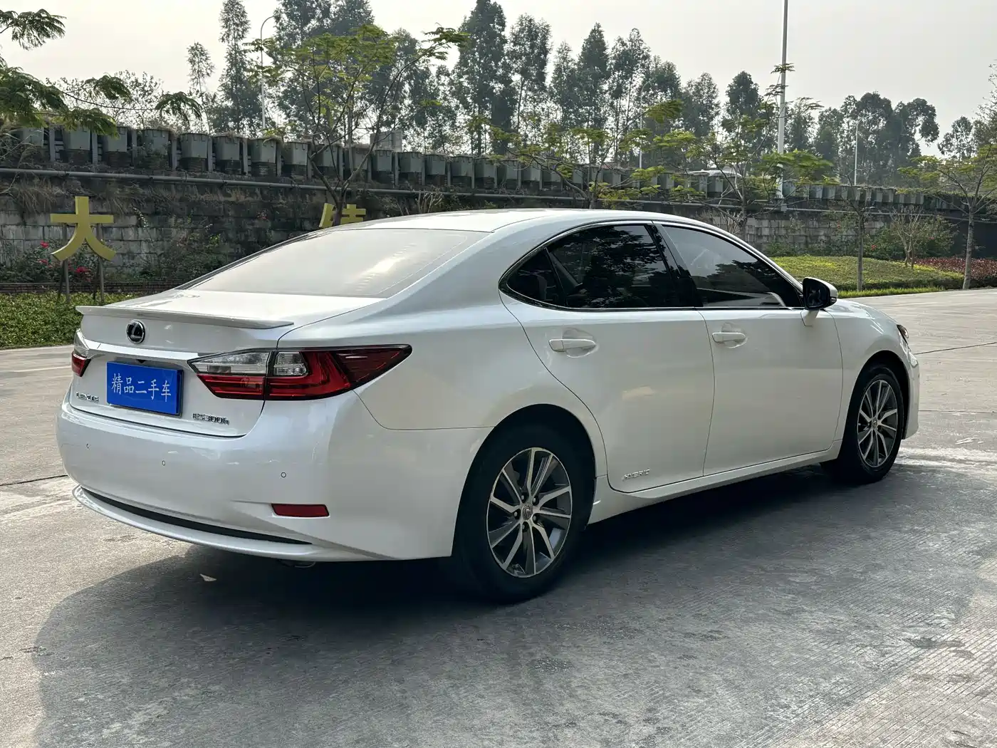 Lexus ES 2015 300h Comfort Edition фото 15