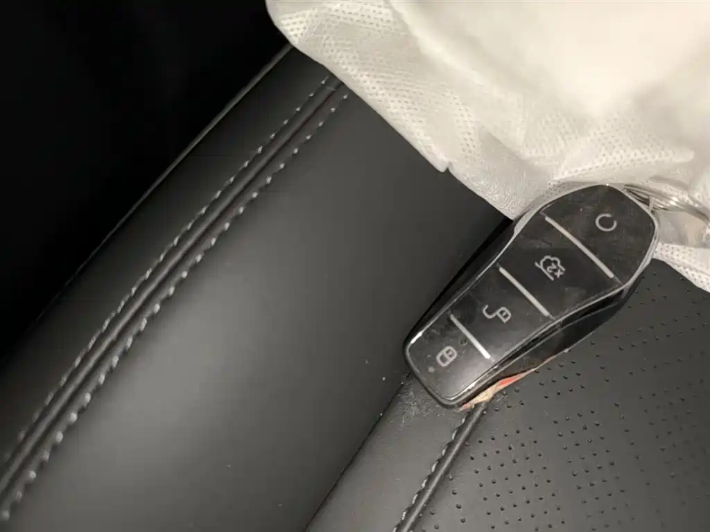 BYD Qin PLUS 2026 DM-i Smart Edition 128KM Progressive фото 9