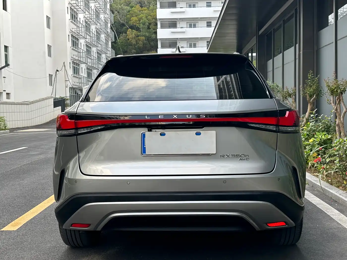 LEXUS RX