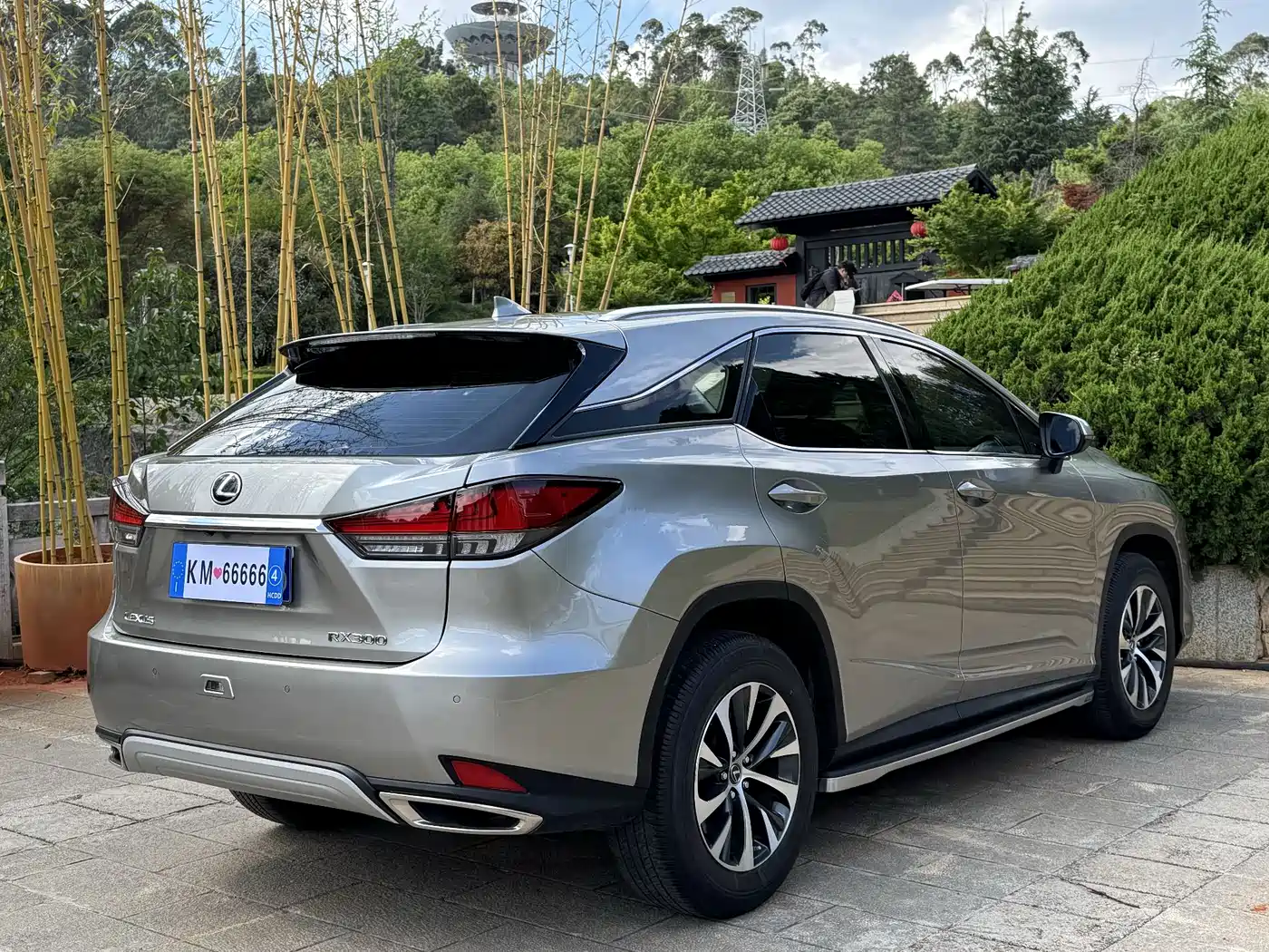 LEXUS RX