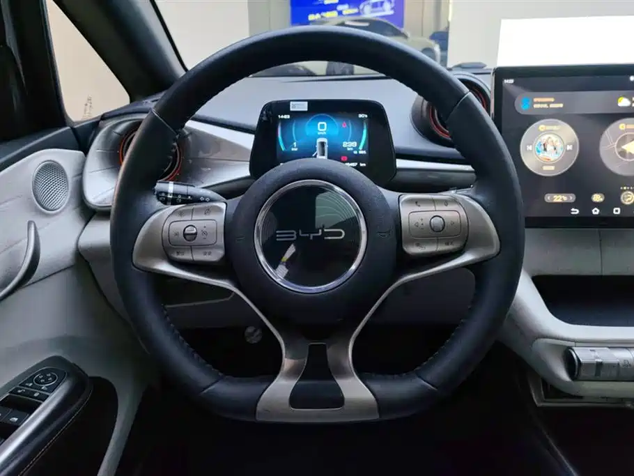 BYD Dolphin 2021 Model 405km Fashion Edition фото 15