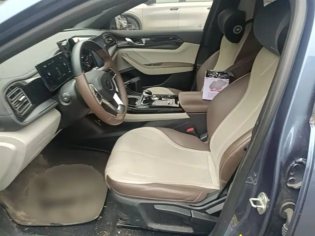 BYD Qin PLUS 2024 Glory Edition DM-i 55KM Leading фото 15