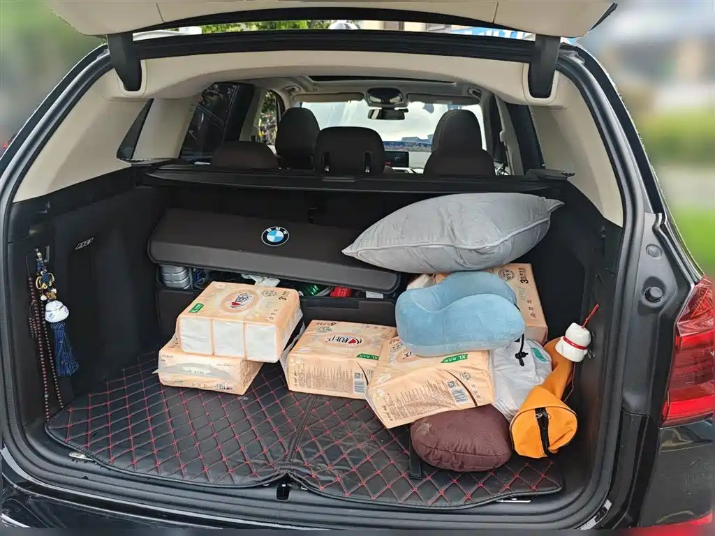 BMW X3 2018 xDrive25i M Sport Package China VI фото 10