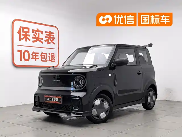 Geely Galaxy Panda 2025 Model Year 210km Panda Kart
