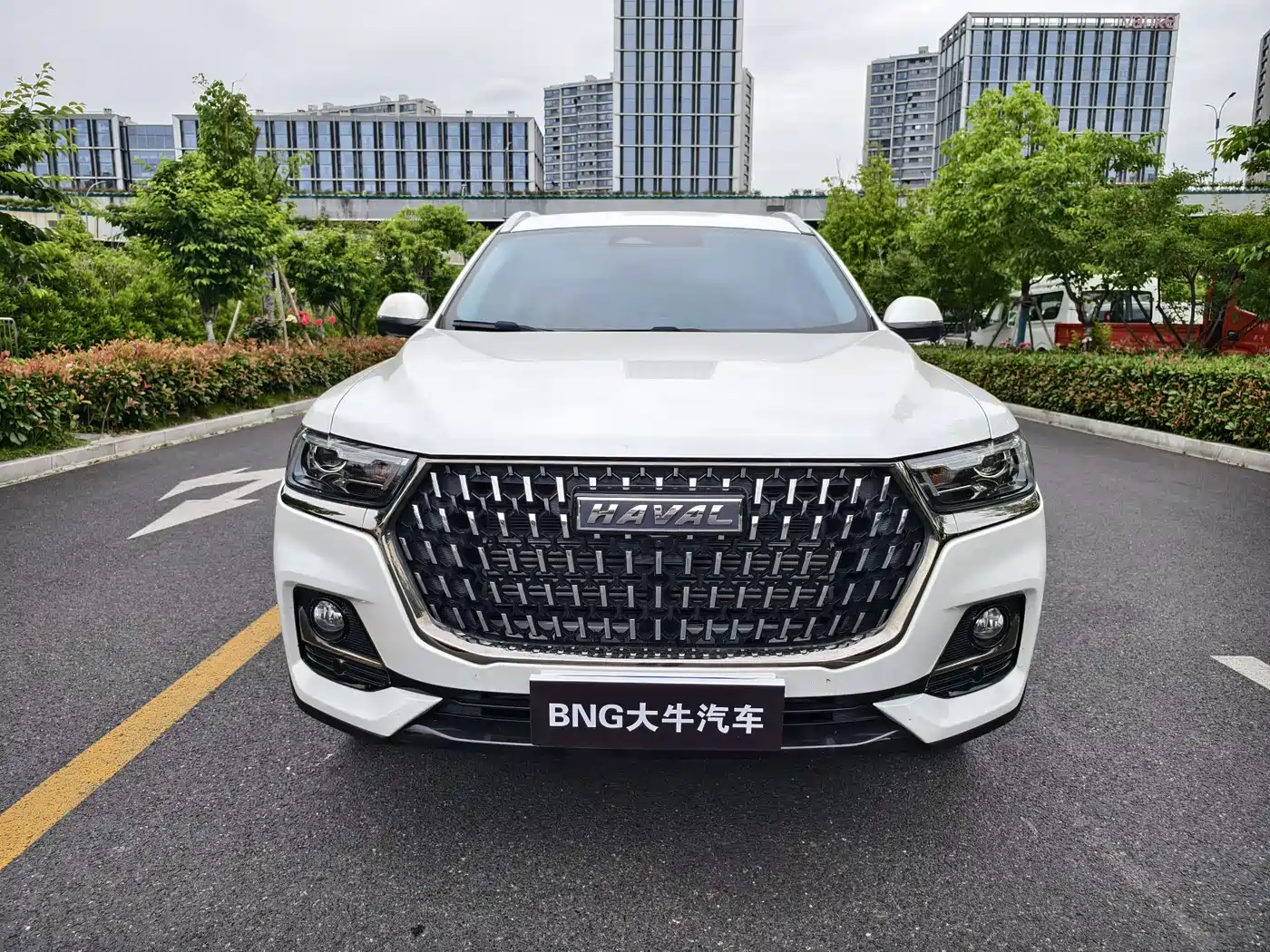 Haval H6 2023 National Trend Edition 1.5T Automatic Champion фото 2