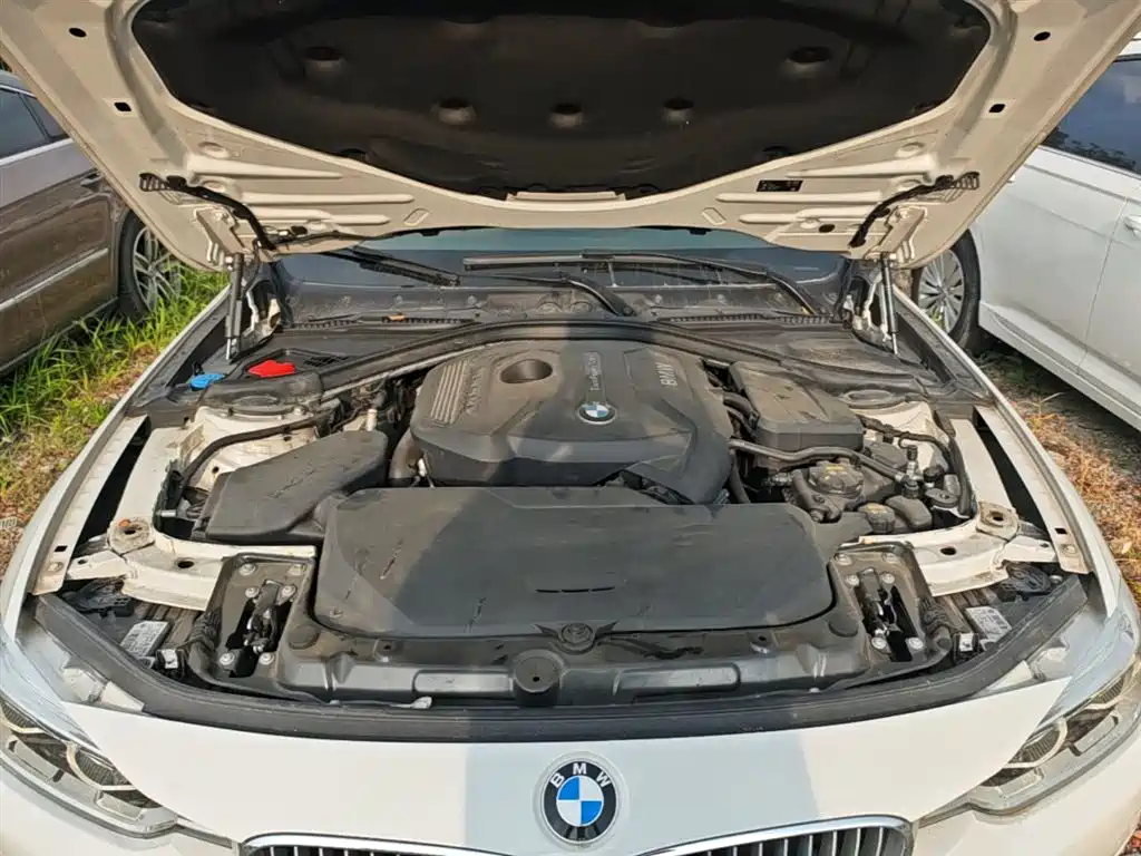 BMW 3 Series 2018 320Li Fashion Style фото 20
